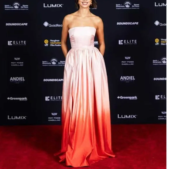 NWT SAU LEE Revolve Teigen Gown Maxi Dress Blush Red Ombre Event Party Cocktail - Picture 5 of 15